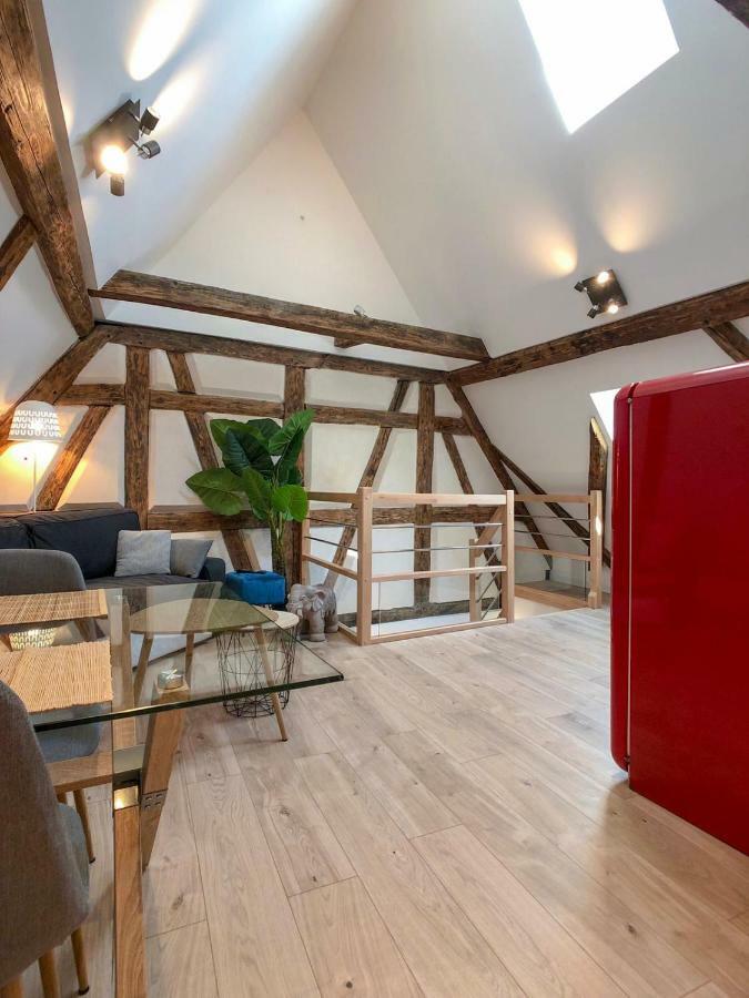 Beauty & The Beast - Old Town Cosy Apartments Colmar Ngoại thất bức ảnh