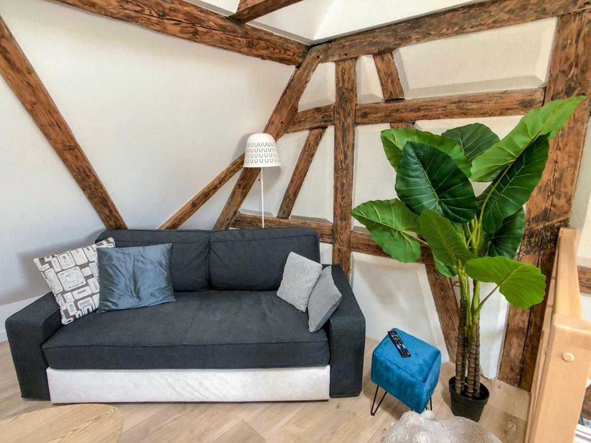 Beauty & The Beast - Old Town Cosy Apartments Colmar Ngoại thất bức ảnh