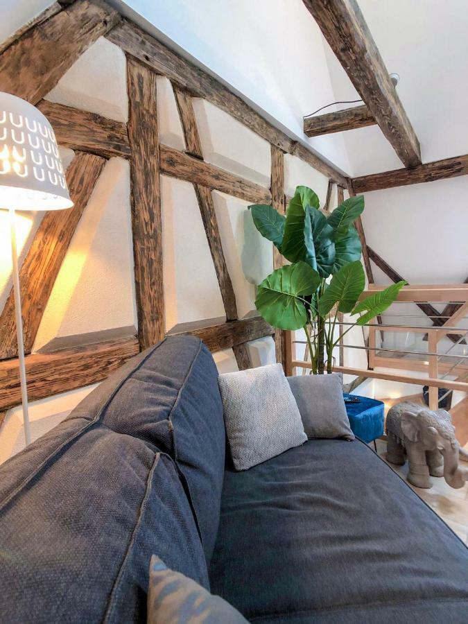 Beauty & The Beast - Old Town Cosy Apartments Colmar Ngoại thất bức ảnh