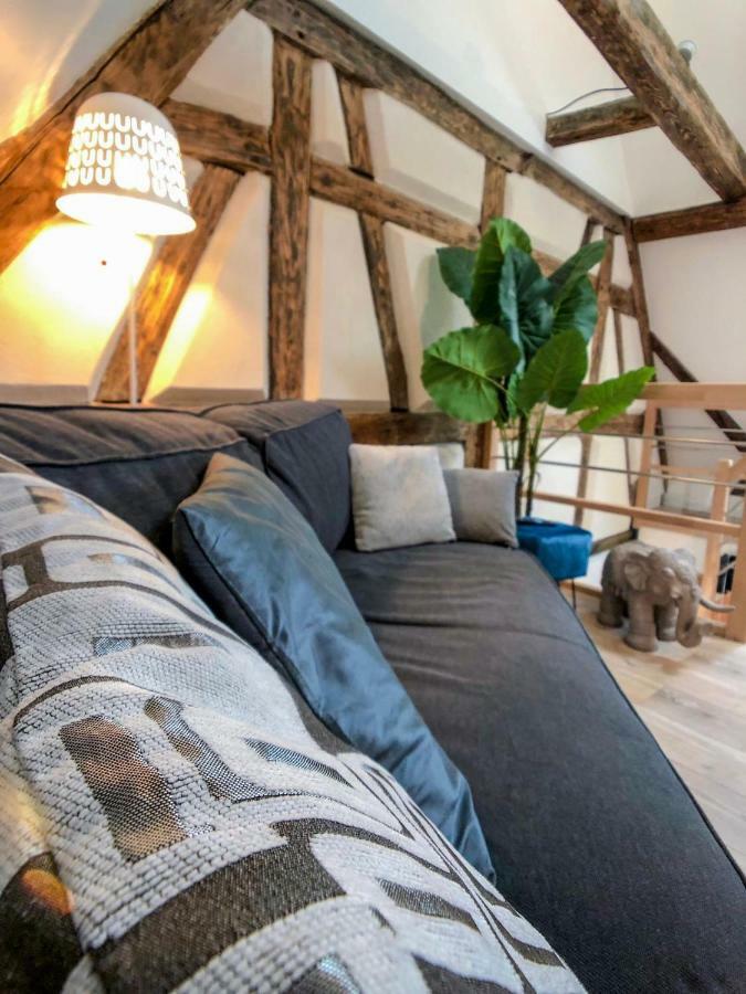 Beauty & The Beast - Old Town Cosy Apartments Colmar Ngoại thất bức ảnh